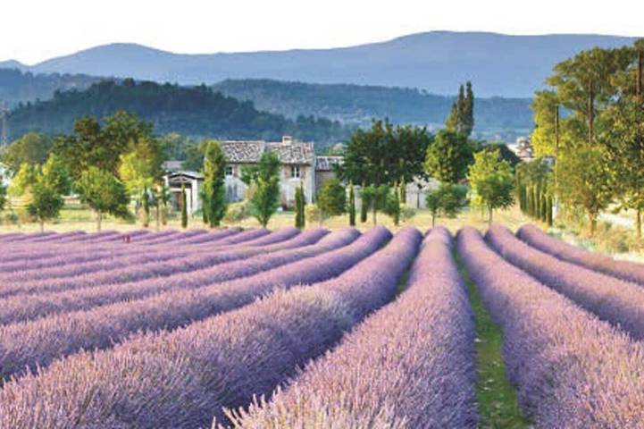 Location de vacances pour 8 personnes, avec jardin à Caderousse