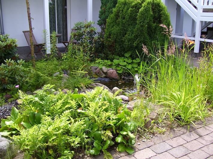 Ferienhaus für 2 Personen, mit Sauna und Terrasse in Kühlungsborn - 4