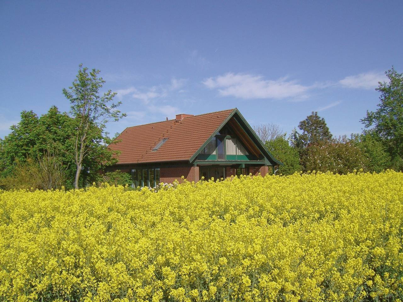 Ganze Ferienwohnung, Landhaus mit Weitblick in Holtsee, Rendsburg-Eckernförde