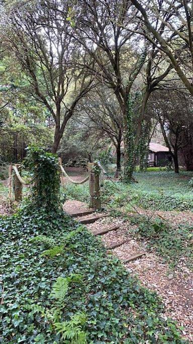 Apartamento entero, Cabaña de ensueño en el bosque y junto al mar in Miengo, Costa de Cantabria