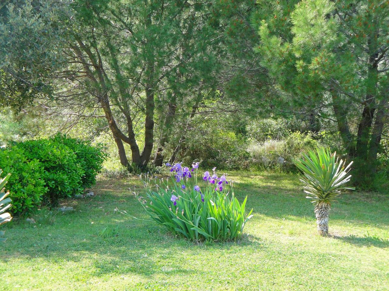 Holiday home in Ugljan, Isla de Ugljan