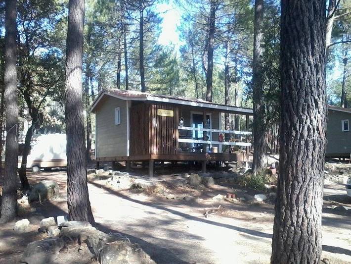 Gîte pour 2 personnes, avec bassin pour enfant à Bollène - 4