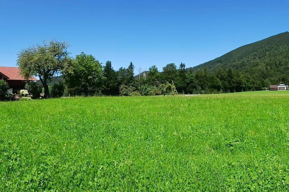 Bio Bauernhof Vordergschwandtgut - Ferienwohnung in Salzkammergut-Berge, Faistenau