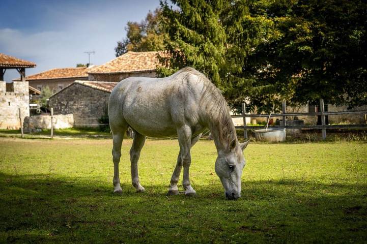 Chambre d’hôte pour 2 personnes, avec terrasse ainsi que jacuzzi et jardin en Charente - 3