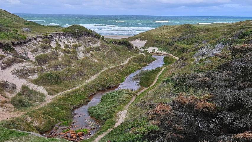 Ferienhaus für 8 Personen, mit Terrasse und Sauna sowie Whirlpool in Nordjütland - 3