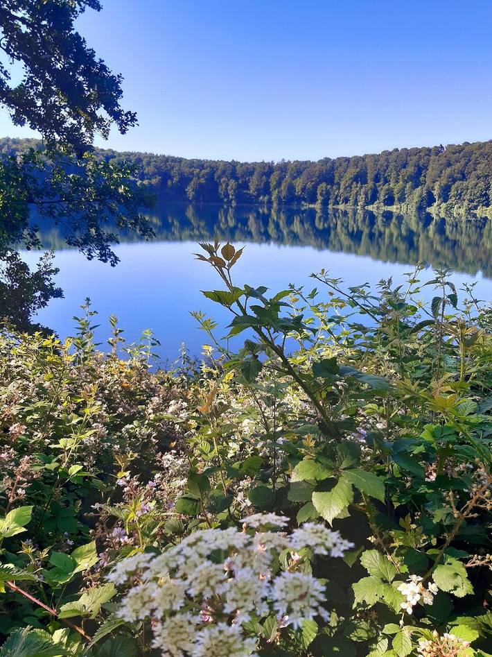 Ferienhaus für 11 Personen, mit Terrasse in Rheinland-Pfalz - 2