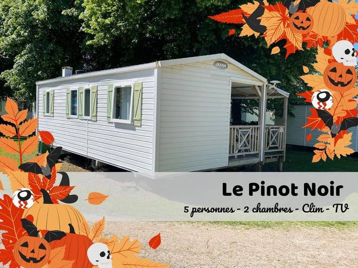 Location de vacances pour 5 personnes, avec piscine et terrasse, animaux acceptés à Boofzheim - 3