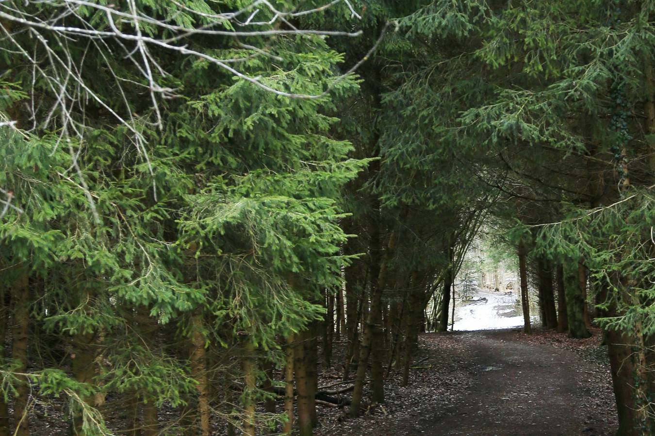 Ganze Ferienwohnung, Ferienwohnung ,,Ruhiges Nest" - Ferienwohnung mit 1 separaten Schlafzimmer 60 qm in Bad Endorf, Chiemsee