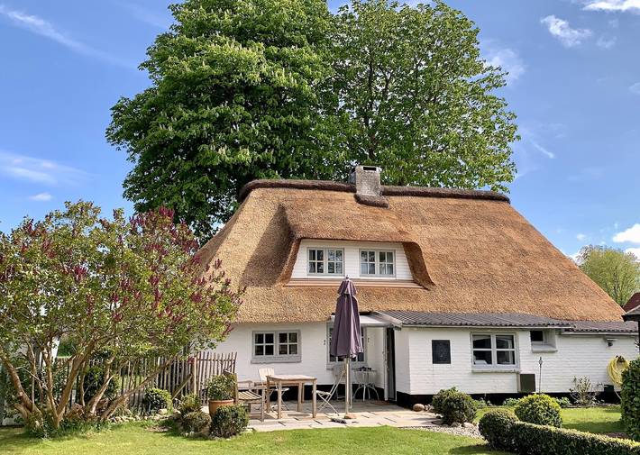Holiday rental for 5 people, with Garden and Sauna in North Sea
