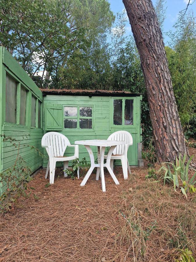 Location de vacances pour 6 personnes, avec vue et jardin à Palaja - 2