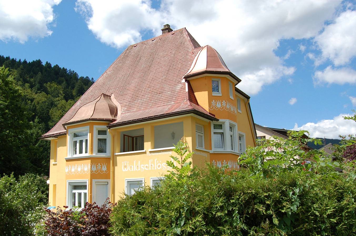 Ganze Wohnung, Apartment 'Waldschlössli' mit Bergblick, Balkon und Wlan in Suedlicher Schwarzwald, Todtmoos