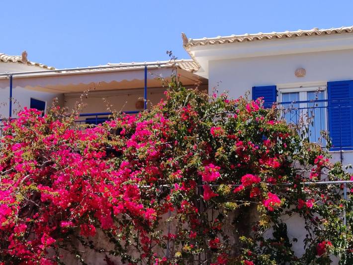 Bungalow für 6 Personen, mit Terrasse und Garten auf den Peloponnes - 4
