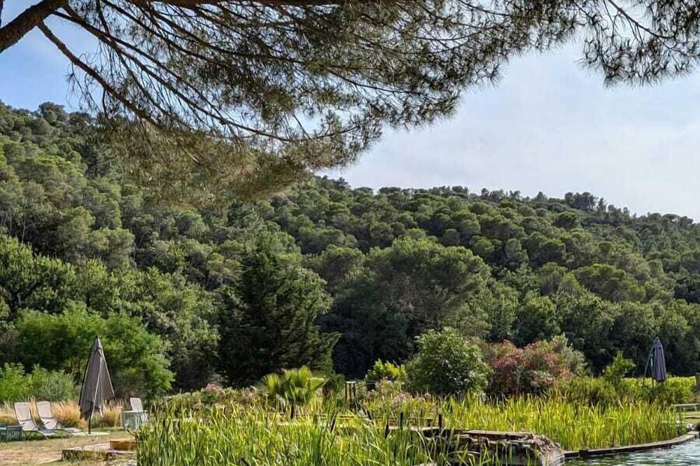 L'Etang Des Cigales : Studio cosy, lumineux, piscine naturelle, 2 personnes in Uchaux, Vaucluse