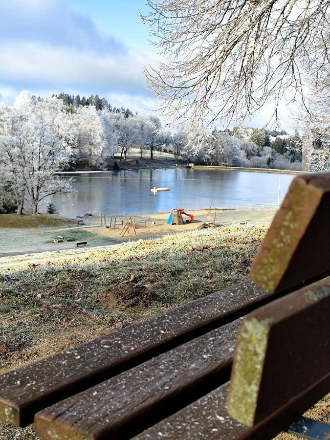 Gîte pour 4 personnes, avec terrasse et jardin dans Plan d'eau de Vernet la Varenne - 3