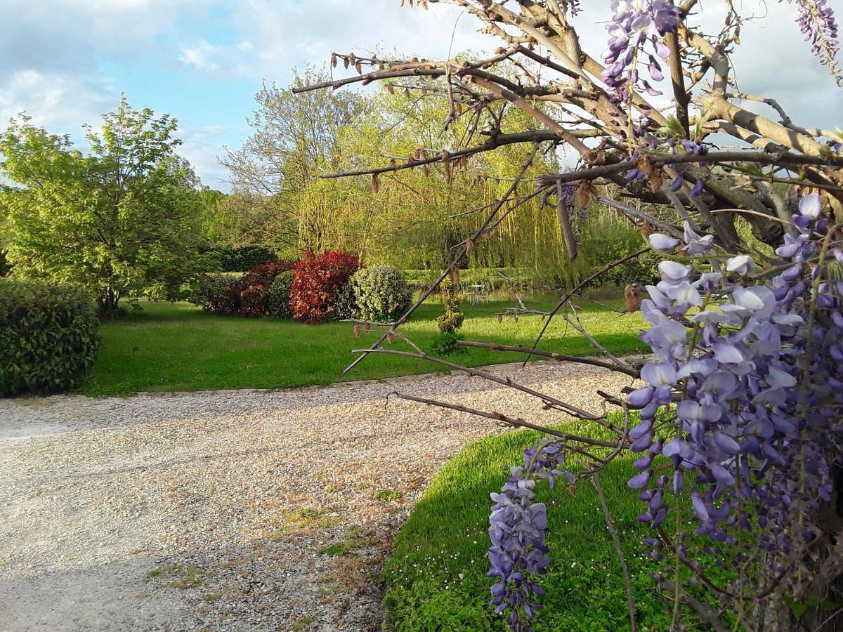 La Belvinière in Tour-en-Sologne, Sologne