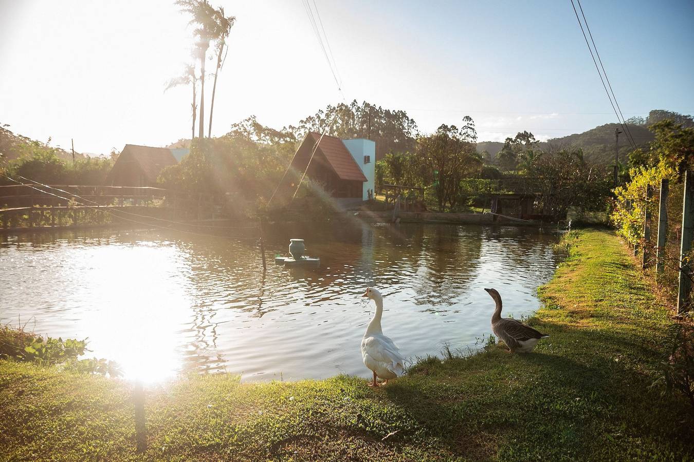 Chalé Standard - Pousada Sestrem in Santa Catarina