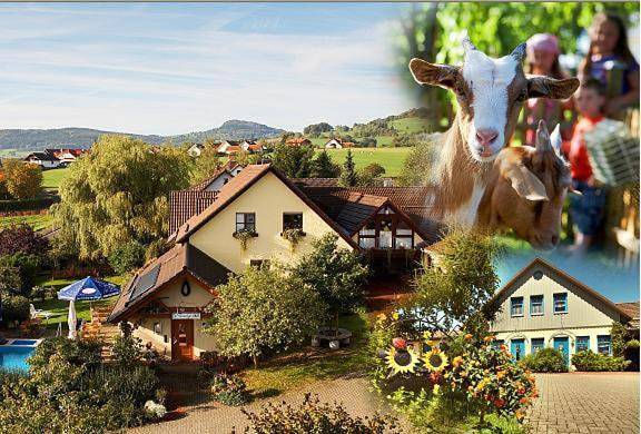 Ferienwohnung für 2 Personen, mit Sauna und Garten sowie Pool und Whirlpool, kinderfreundlich in Hilders - 3