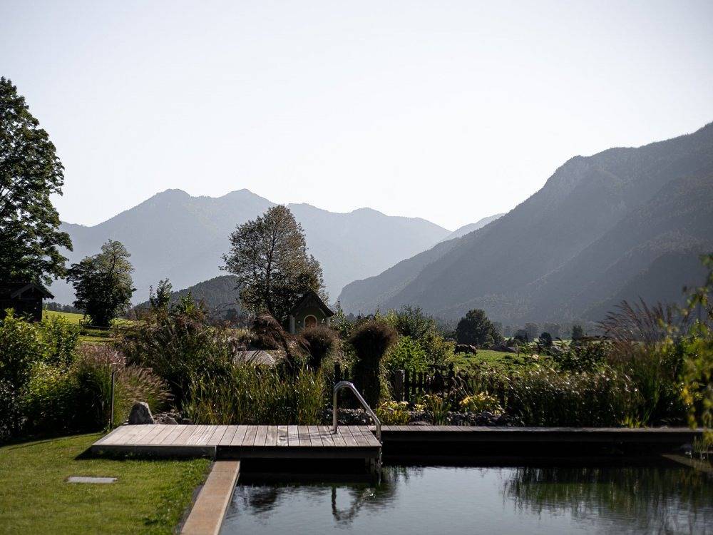 Knogler-Bauer - Almrausch in Schleching, Bayerische Alpen