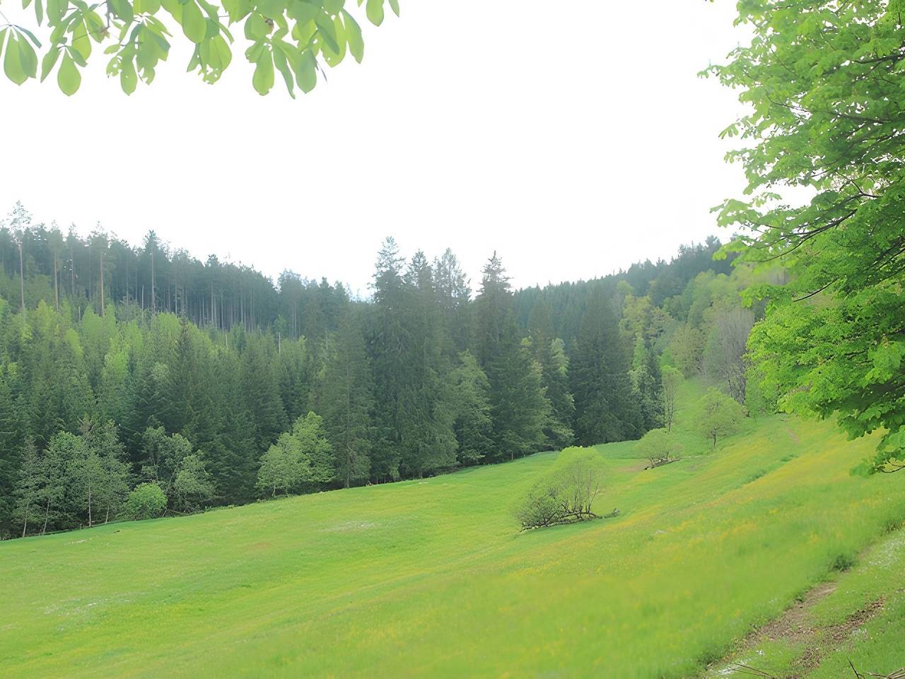Ganze Ferienwohnung, Ferienhof Hirschfeld in Pfalzgrafenweiler, Nordschwarzwald