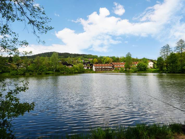 Ferienwohnung für 2 Personen, mit Balkon und Garten sowie Seeblick in Landkreis Cham - 4