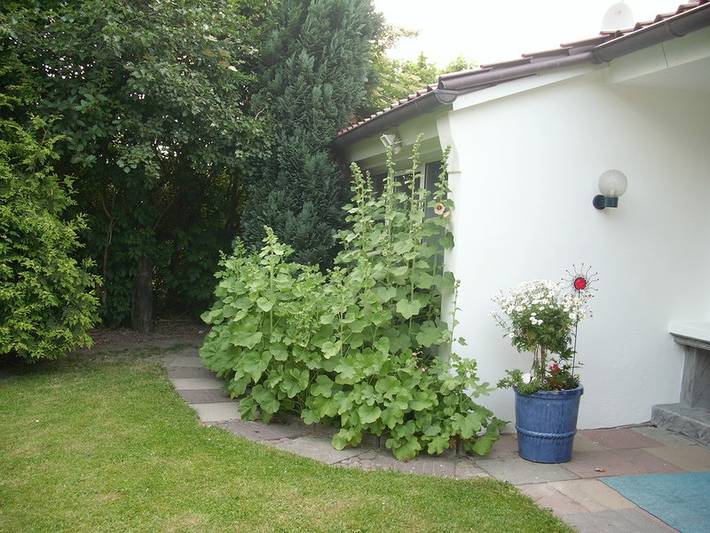 Ferienhaus für 6 Personen, mit Balkon/Terrasse und Terrasse in Büsum - 3