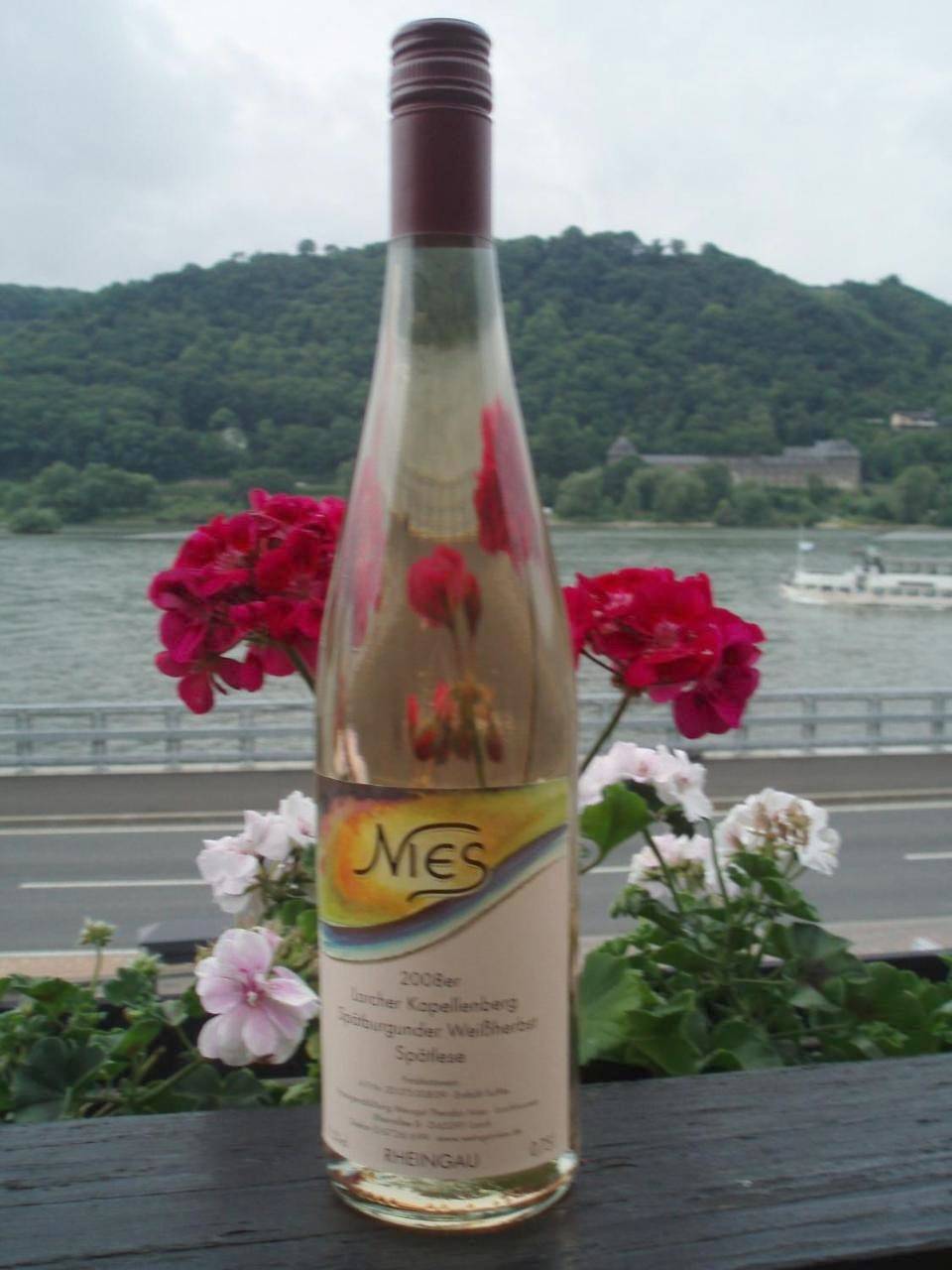 Ganze Wohnung, Weingut Theodor Nies in Lorchhausen, Lorch