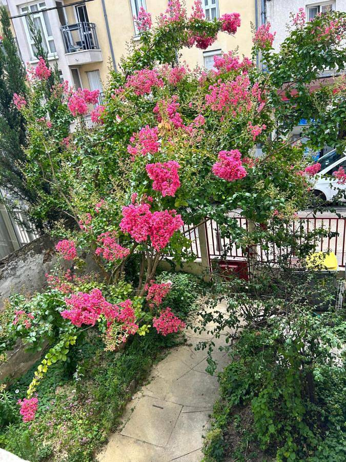 Appartement entier, F3 au grenier d'une maison in Massy, Essonne