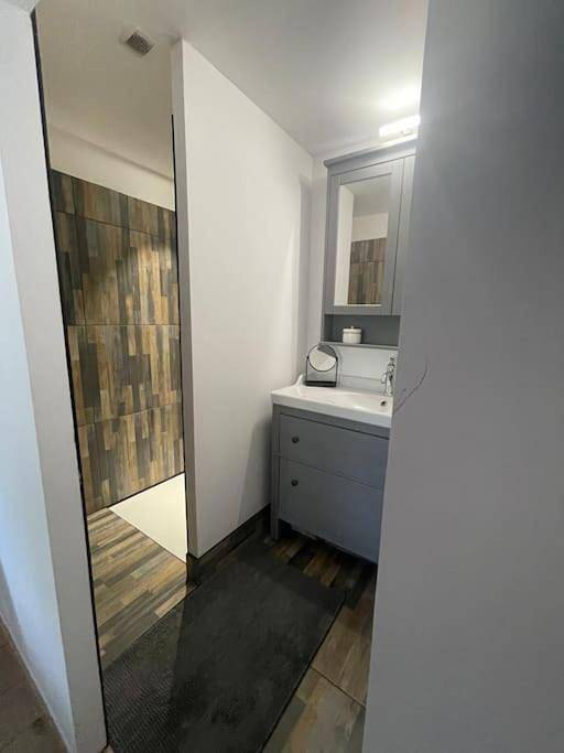 Location de vacances pour 6 personnes, avec jardin et vue ainsi que piscine et vue sur le lac à Domfront-en-Champagne - 4