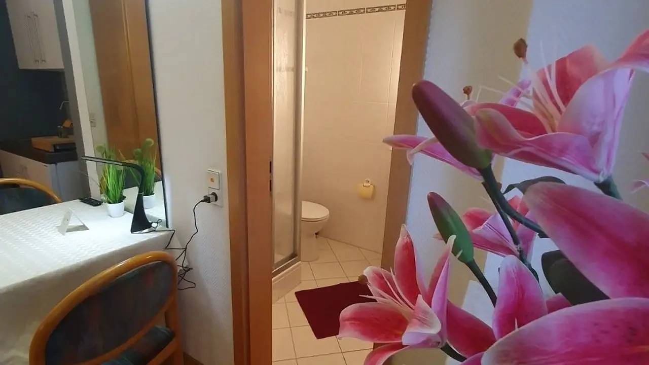 Ganze Ferienwohnung, Ferienwohnung für 2 Personen (24 m²) in Zwingenberg in Zwingenberg, Bergstraße