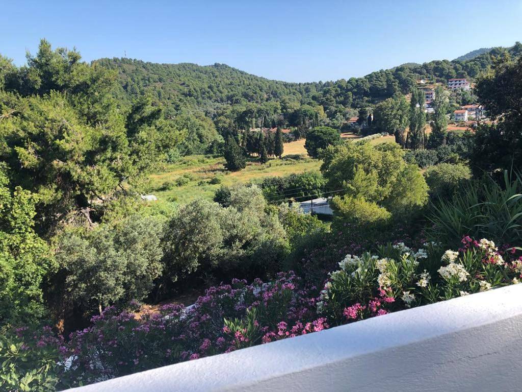 Villa Elpiniki in Troulos, Sporades