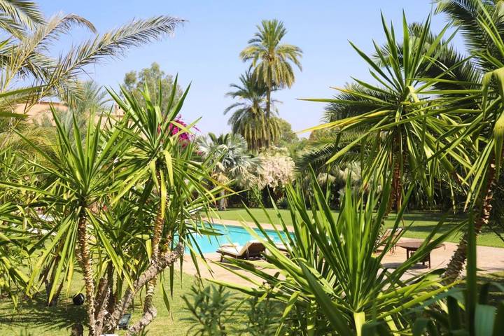 Maison d’hôte pour 8 personnes, avec sauna ainsi que piscine et jardin à Marrakech - 4