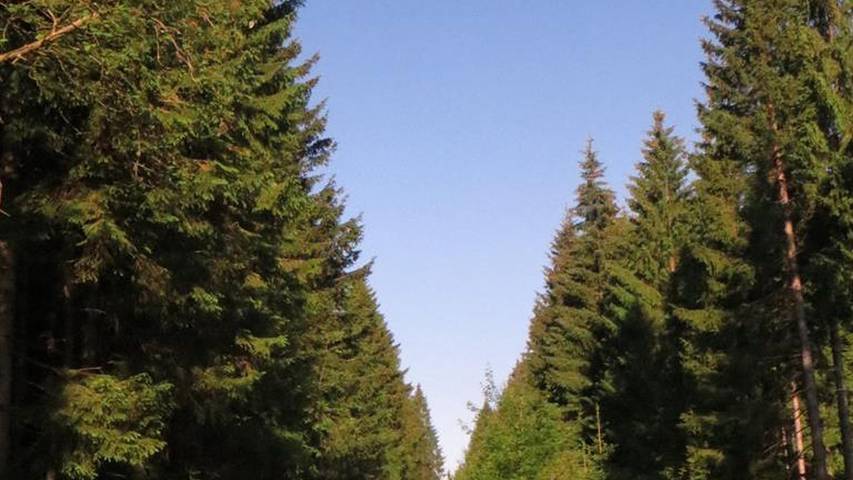 Ferienwohnung für 2 Personen, mit Sauna in Eibenstock - 3