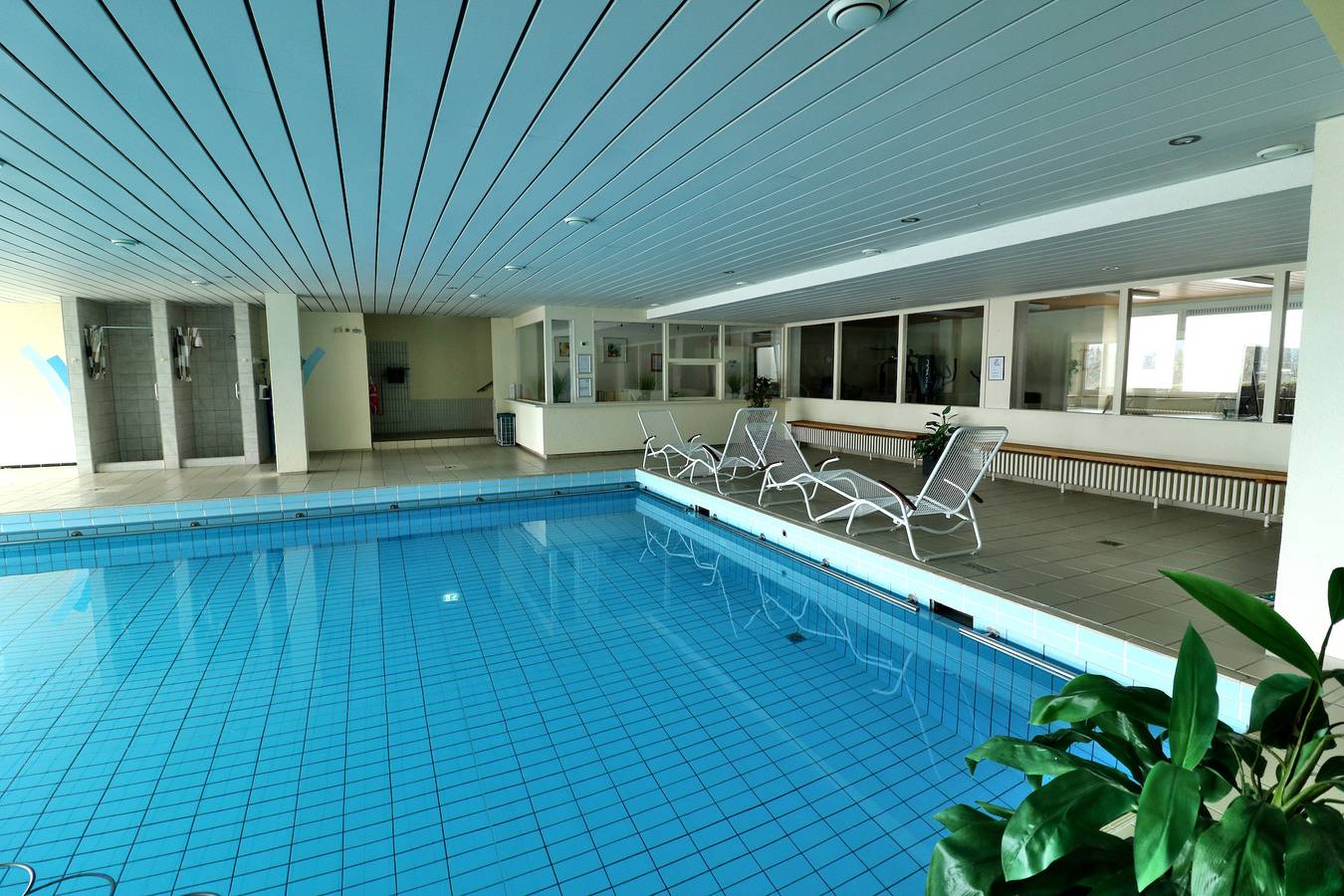Ganze Ferienwohnung, Fewo "Sonnenwinkel" C37  mit Südbalkon im Haus Feldbergblick, Lenzkirch, Innenpool, Sauna in Kappel (Lenzkirch), Lenzkirch