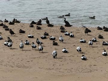 Holiday Home for 4 People in Aberdeenshire, Scotland, Photo 3