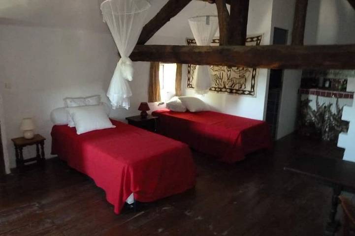 Gîte pour 6 personnes, avec terrasse et jardin, animaux acceptés à Saint-Laurent-le-Minier - 4