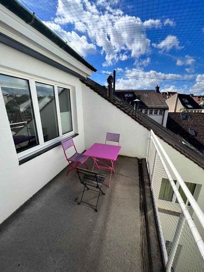 Ganze Wohnung, City Center Rooftop Balcony-Studio at town hall in Basel 1 Rüdengasse, Basel