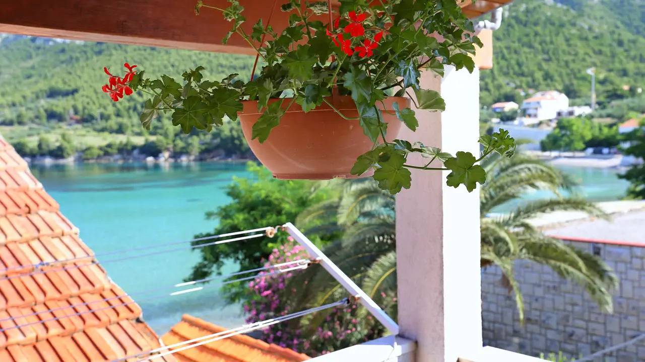 Ganze Ferienwohnung, Ferienwohnung für 3 Personen (24 m²) in Žuljana in Žuljana, Dubrovnik-Neretva