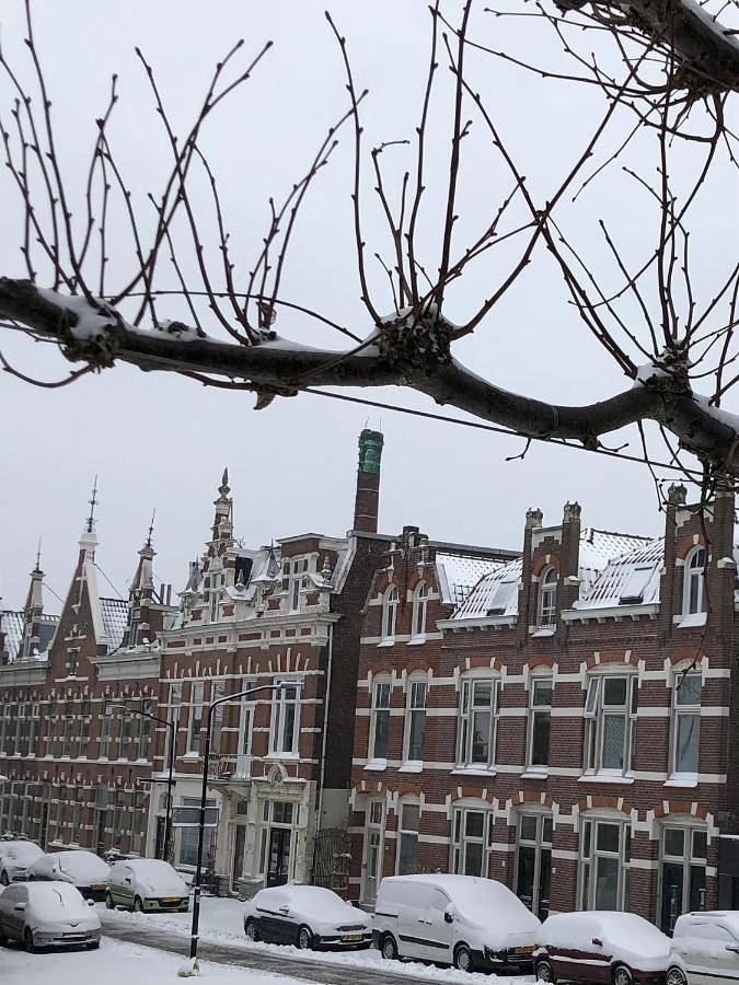 Ferienwohnung für 4 Personen, mit Terrasse und Garten sowie Sauna in Dordrecht - 4