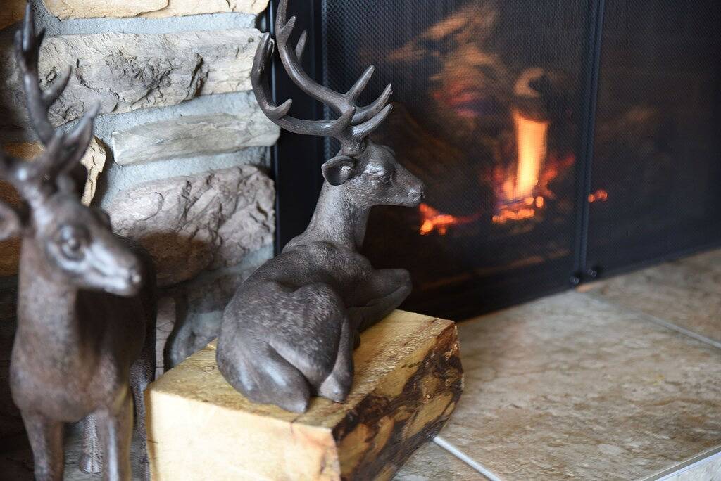 Erstaunliche Pikes Peak Views! Whirlpool-Feuerstelle-Bbq in Woodland Park, Teller County