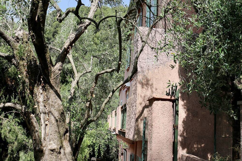 Apartamento entero, \"Mas Thomasine <br>quiet romantic apartment in nature in Peillon in Peillon, Nizza Region
