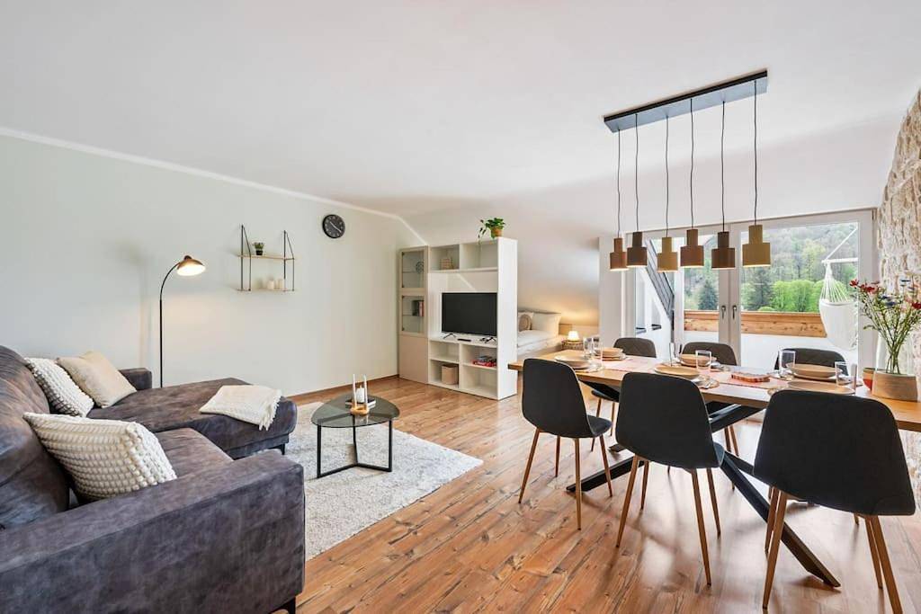 Appartement entier, Traumhafte Wohnung mit Neckarblick in Neckarsteinach, Bergstraße