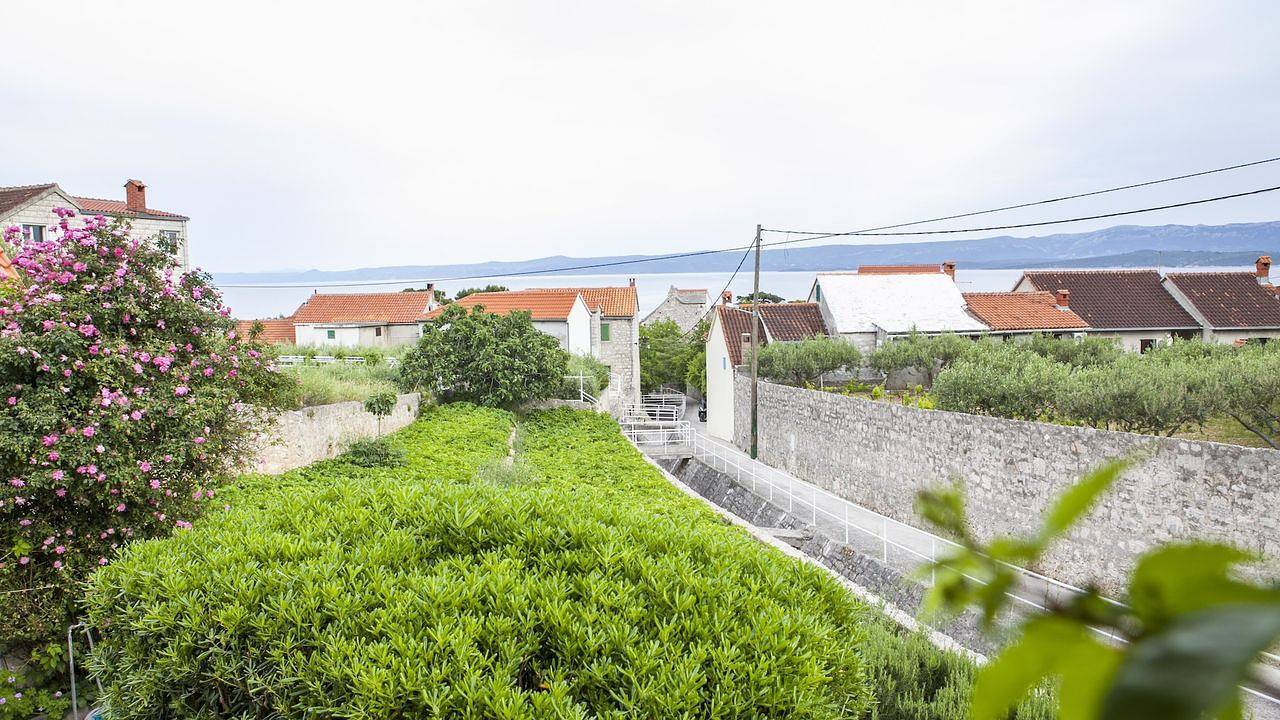 Ganze Ferienwohnung, Ferienwohnung für 3 Personen (35 m²) in Bol in Bol, Brac