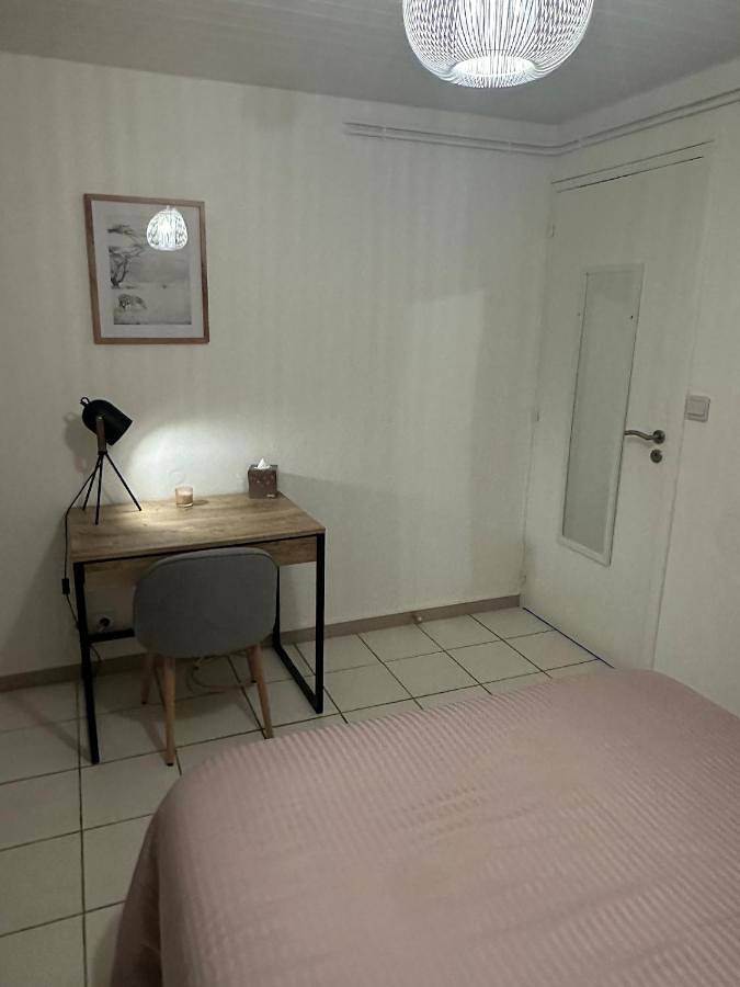 Gîte pour 4 personnes, avec terrasse, animaux acceptés à Châtillon-sur-Chalaronne - 3