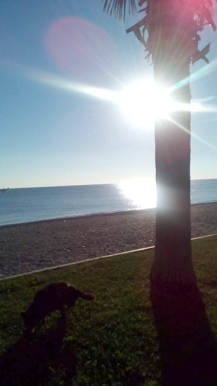 Casa Dilva in Porto Sant'Elpidio, Fermo Provinz