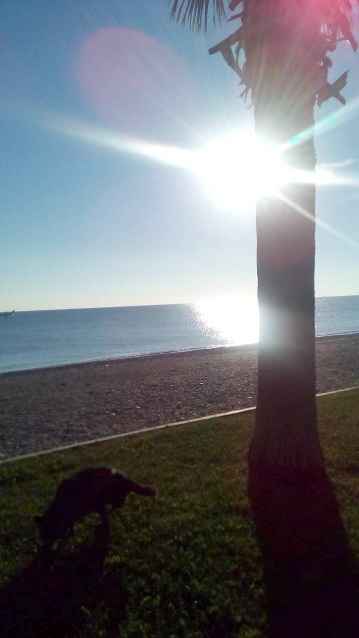 Location de vacances pour 4 personnes, avec terrasse et vue à Porto Sant'Elpidio - 4