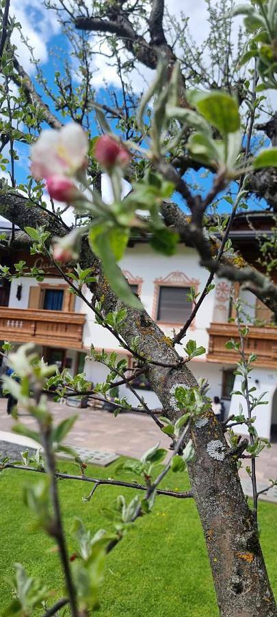 Chambre d’hôte pour 2 personnes, avec vue et jardin à Wolkenstein - 3