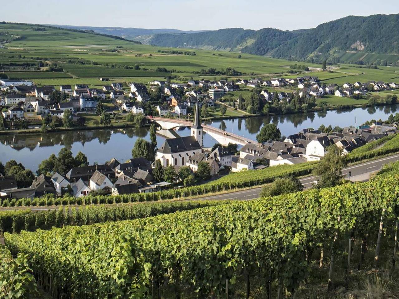Ganze Ferienwohnung, Ferienwohnungen Weingut Breit - Appartement, Weingut Breit in Piesport, Bernkastel-Kues & Umgebung