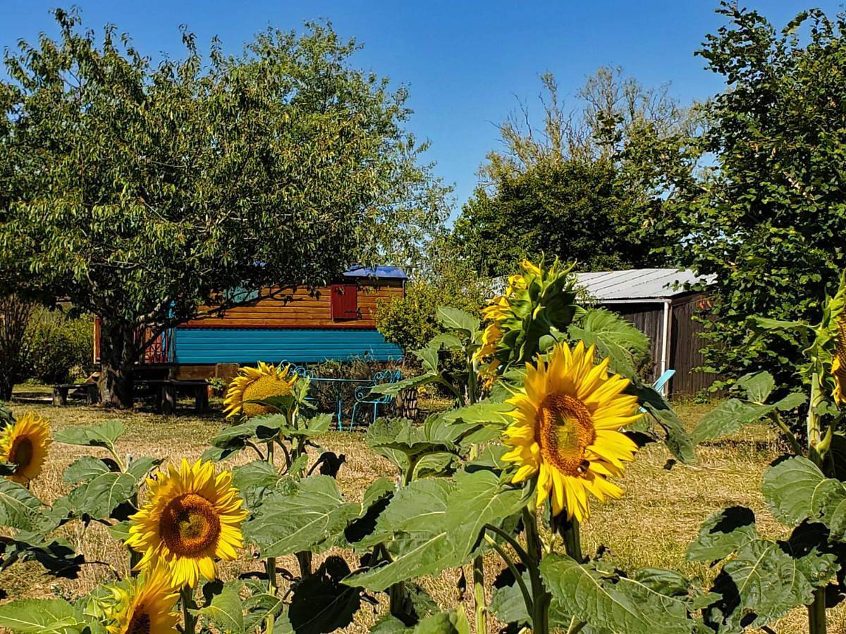 Gipsy Caravan in Augy-sur-Aubois, Saint-Amand-Montrond