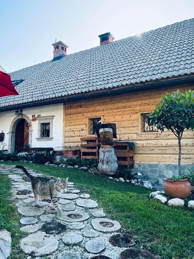 Cały apartament, Apartmaji Katrnjek in Gmina Bohinj, Park Narodowy Triglav