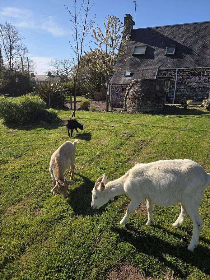 Location de vacances pour 6 personnes, avec vue et jardin à Ver (homonymie) - 3